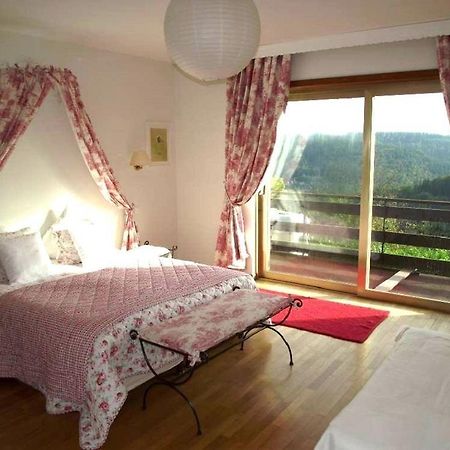 Villa Du Lion D'Or La Petite-Pierre Room photo